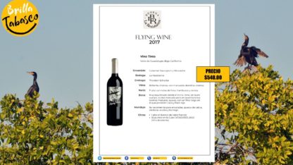 Vino tinto Flying Wine 2017